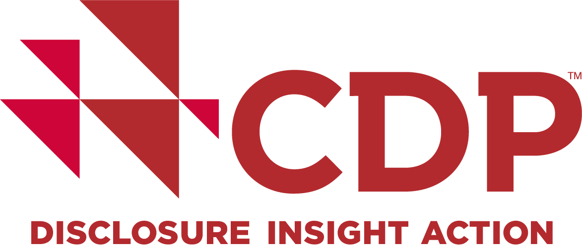 CDP DISCLOSURE INSIGHT ACTION