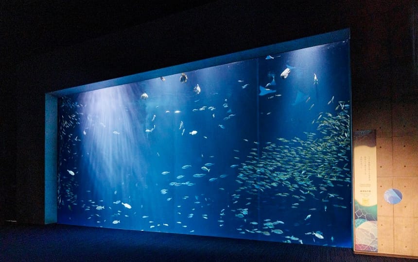 四国水族館 ゴールドスポンサー