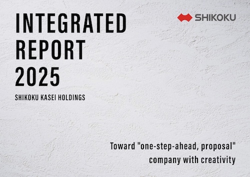 Integrated Report 2025