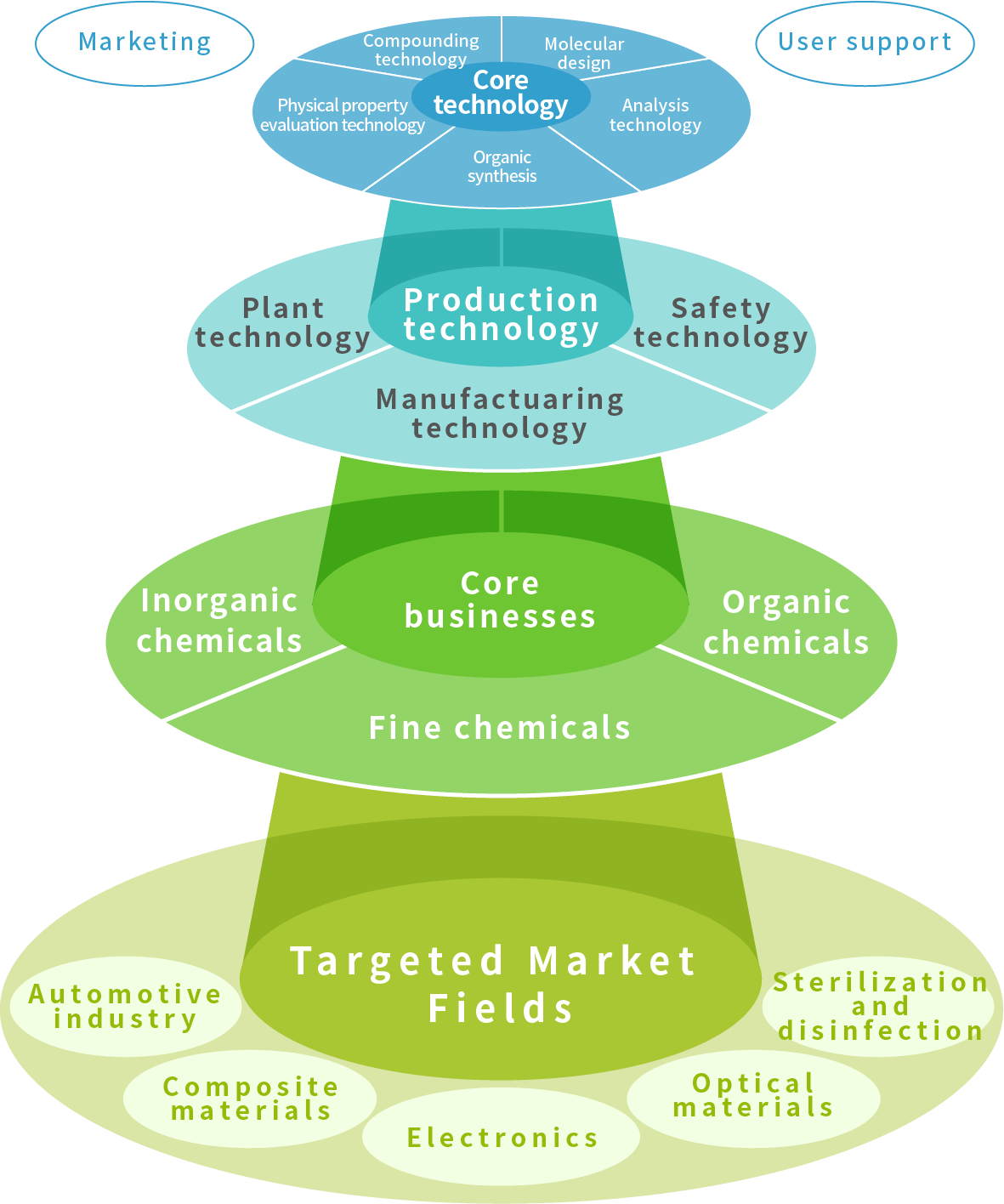 Schematic diagram of development